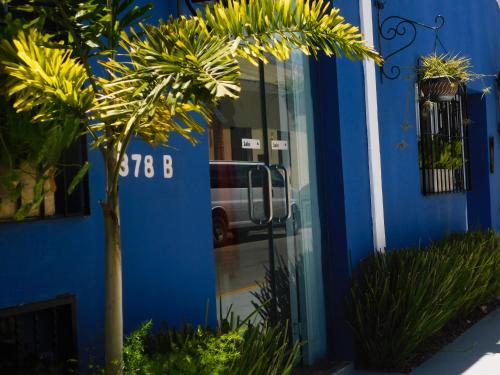 Casa Flor de Mayo, Mérida