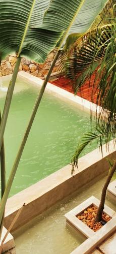 Casa Bamboo, Valladolid