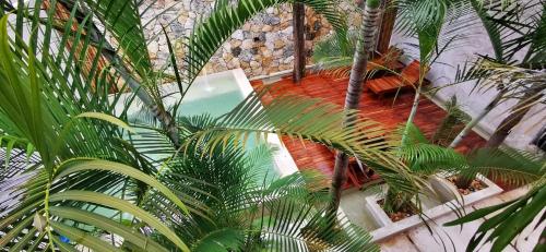 Casa Bamboo, Valladolid