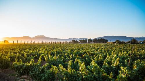 El Cielo Winery Resort, Valle de Guadalupe