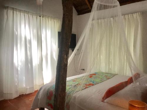 Ecovergel Riviera Maya, Tulum