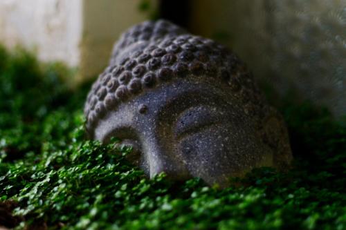 Ganesha, San Cristóbal de las Casas