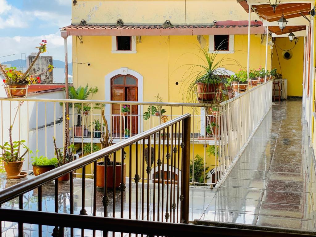 Real de Juárez, Xalapa