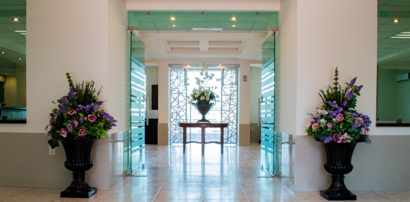 Aliana Hotel & Suites, Salamanca