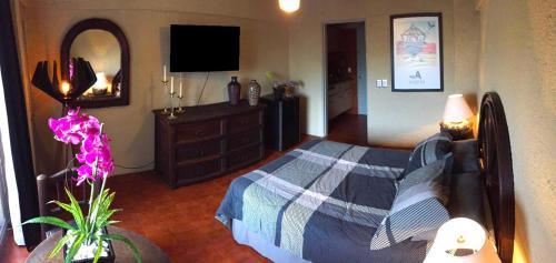 Aurora Suites, Guadalajara