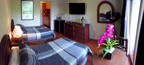 Aurora Suites, Guadalajara