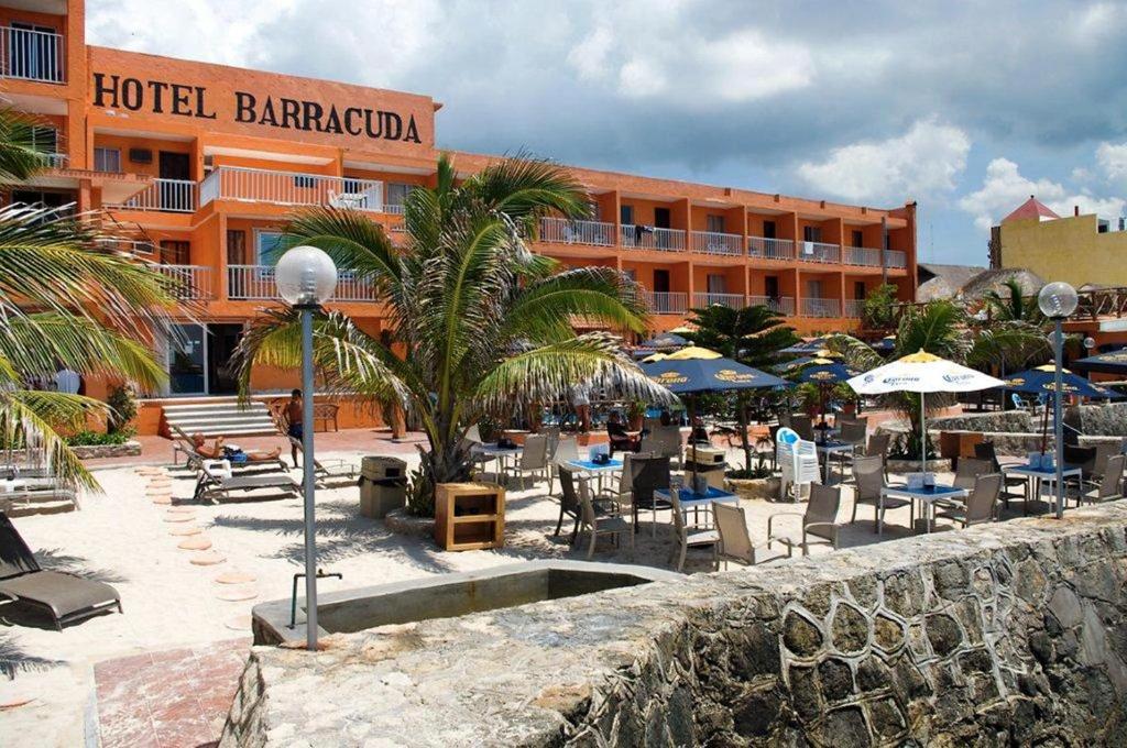 Barracuda, Cozumel