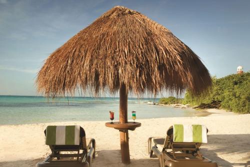 Hyatt Ziva Cancún, Cancún