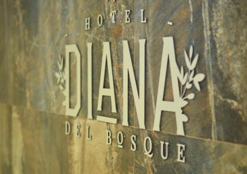 Diana del Bosque, Morelia