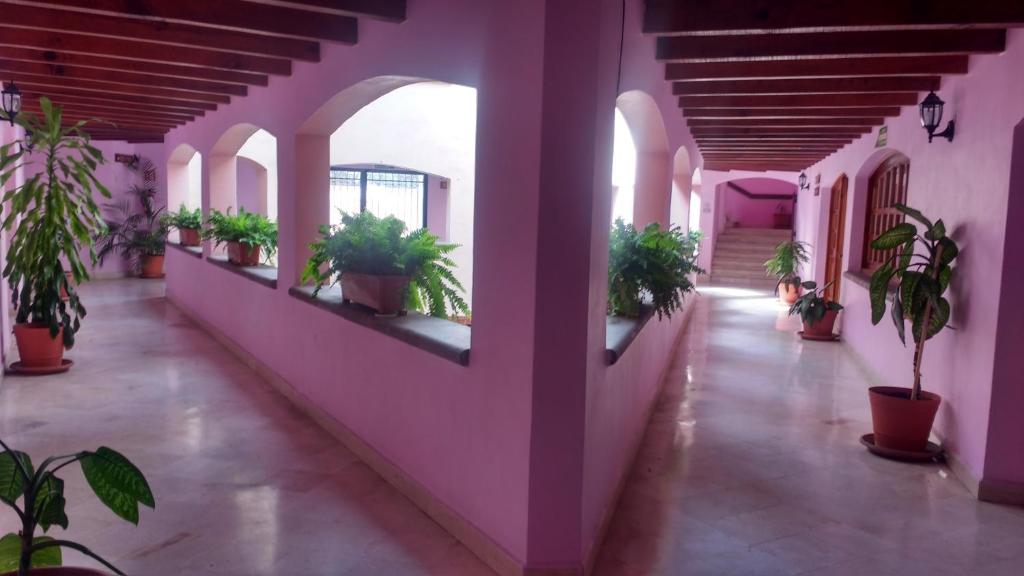 Del Parque, Tequisquiapan