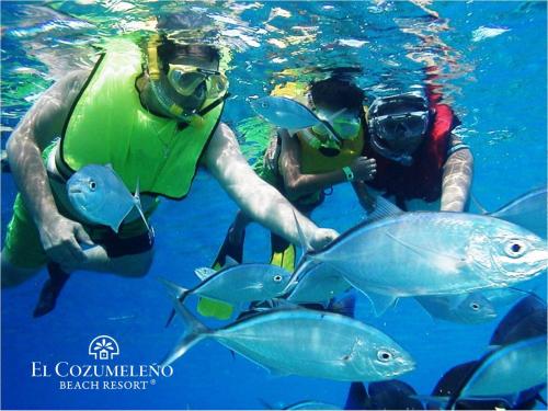 El Cozumeleño, Cozumel