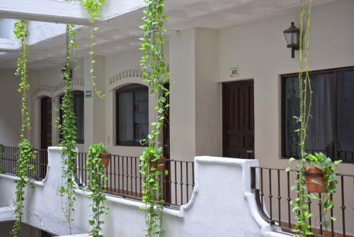 Eloisa, Puerto Vallarta