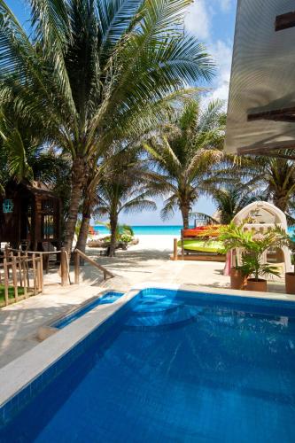 Flamingo, Cancún