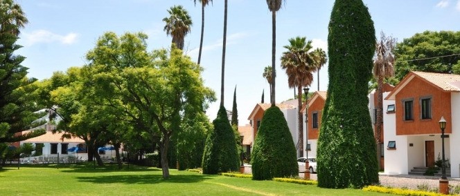 Flamingo Inn, Querétaro