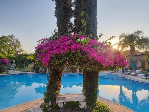 Gran Hotel Hacienda de la Noria, Aguascalientes