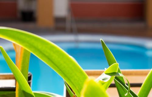 Del Mar Inn Playas, Tijuana