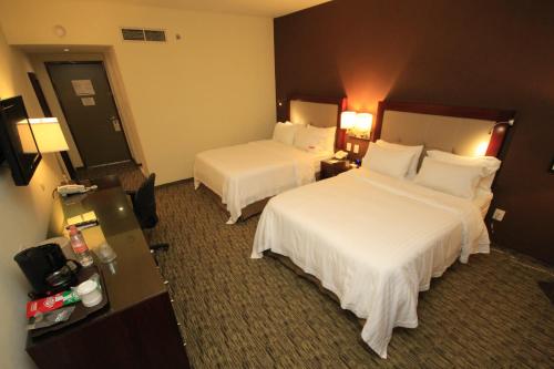 Holiday Inn León, León