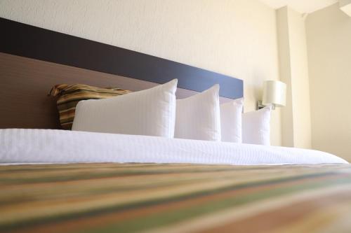 Ramada Hola Culiacán, Culiacán