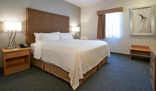 Holiday Inn and Suites, Chihuahua