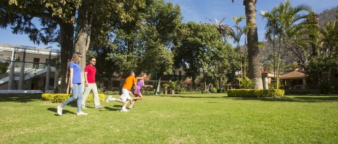 Los Olivos, Oaxaca