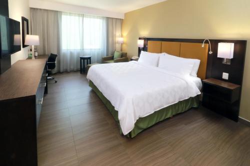 Holiday Inn Altamira, Altamira