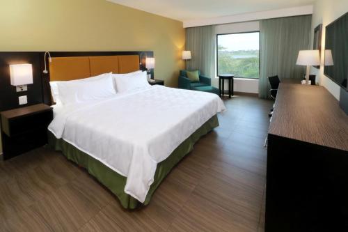 Holiday Inn Altamira, Altamira