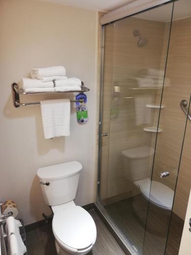 Holiday Inn Altamira, Altamira