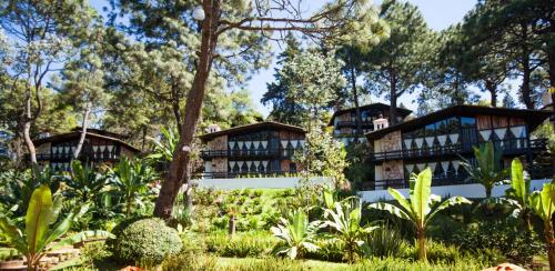 Monteverde Cabañas, Mazamitla