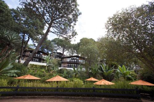 Monteverde Cabañas, Mazamitla
