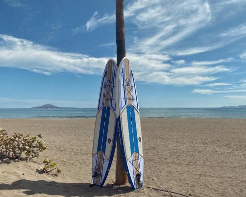 Oasis, Loreto