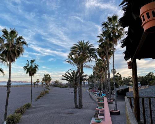 Oasis, Loreto