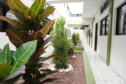 Palacio, Xalapa