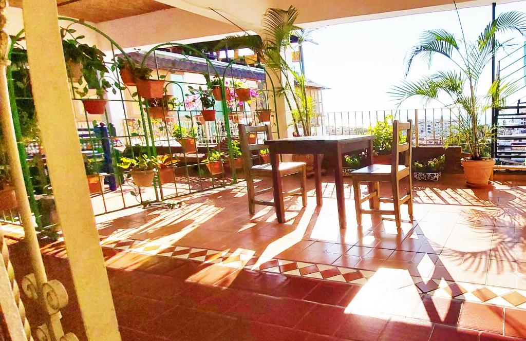 Paloma del Mar, Puerto Vallarta