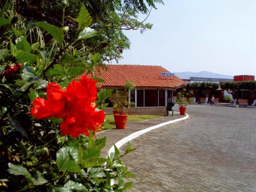 Paraíso, Tepic