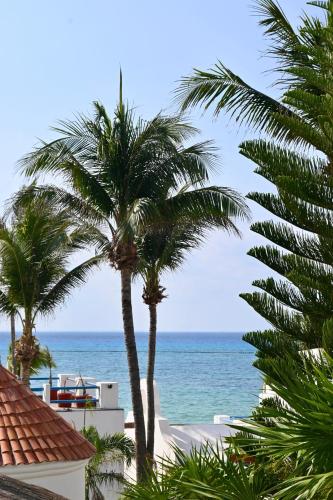 Pelícano Inn, Playa del Carmen