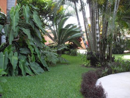 Playa Cristal, Catemaco