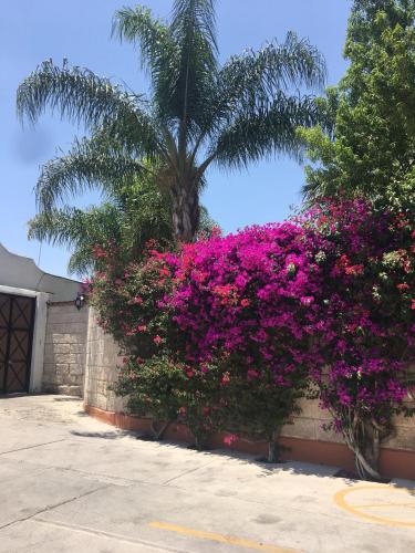 Posada del Virrey, Tequisquiapan