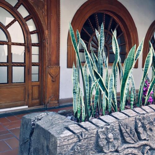 Real de Minas Tradicional, Querétaro