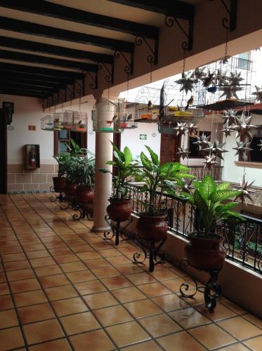 Regis, Uruapan