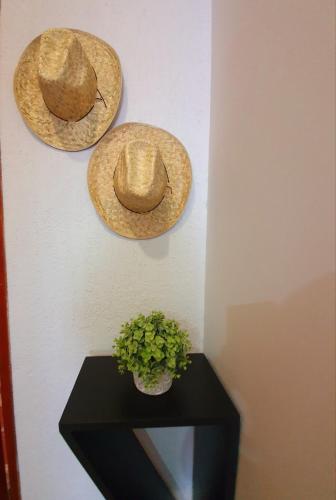 Rivera Diamante, Oaxaca