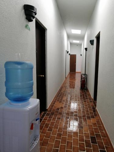 Tamuín, Tamuín