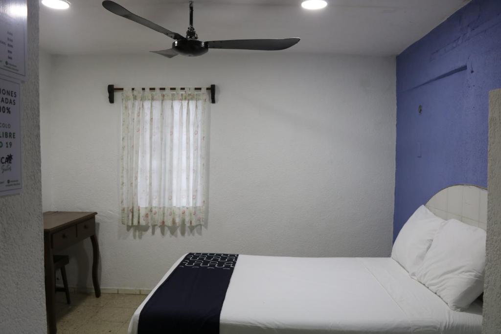 Tropical Suites, Progreso