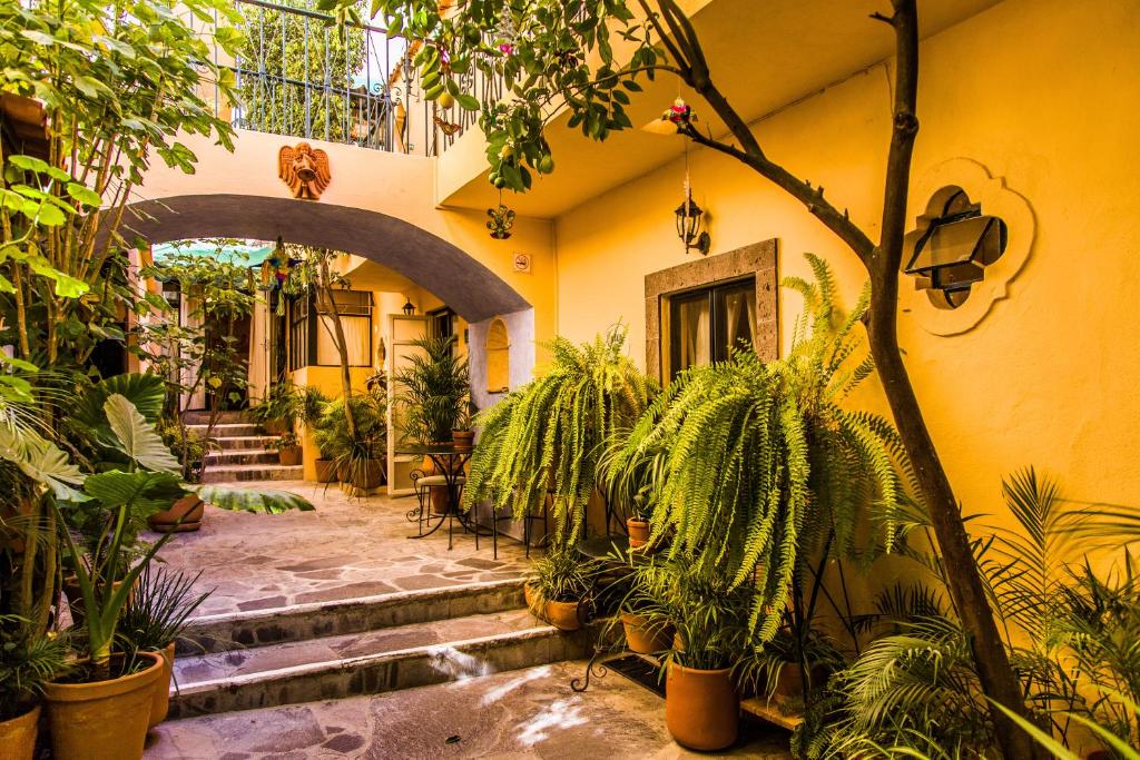 Villa Mirasol, San Miguel de Allende