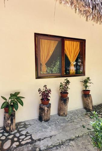 Villas Kin - Ha, Palenque