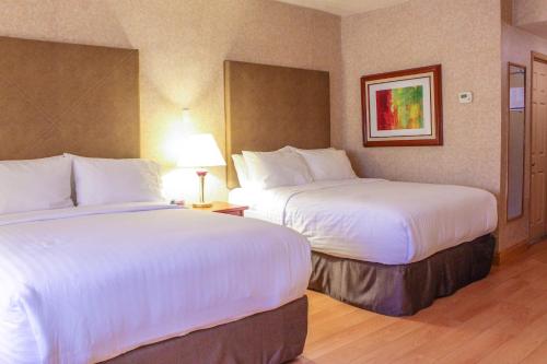 Holiday Inn Express Chihuahua, Chihuahua