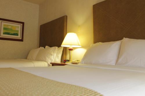 Holiday Inn Express Chihuahua, Chihuahua