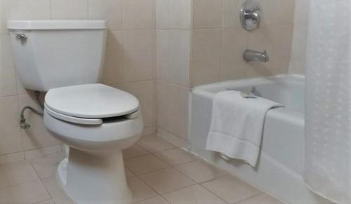 Holiday Inn Express Chihuahua, Chihuahua
