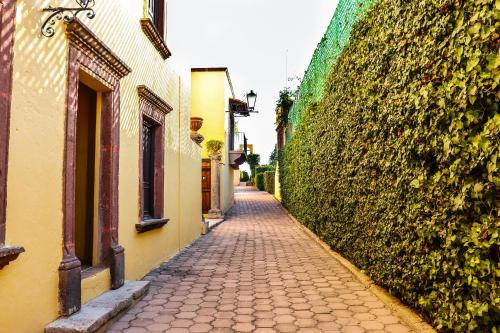 Mirador del Frayle, San Miguel de Allende