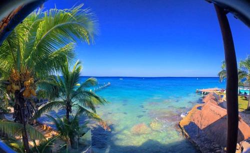 Blue Angel Resort, Cozumel