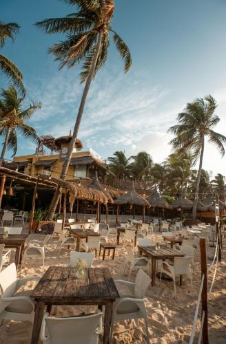 Colibrí Beach, Playa del Carmen